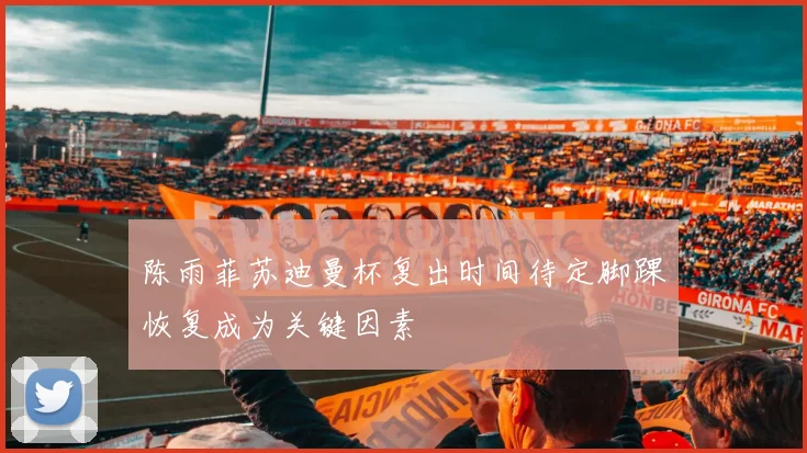 陈雨菲苏迪曼杯复出时间待定脚踝恢复成为关键因素